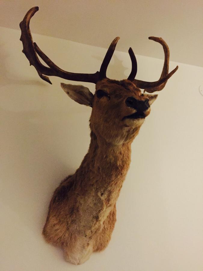 Hotel Mezzo Sälen Eksteriør billede